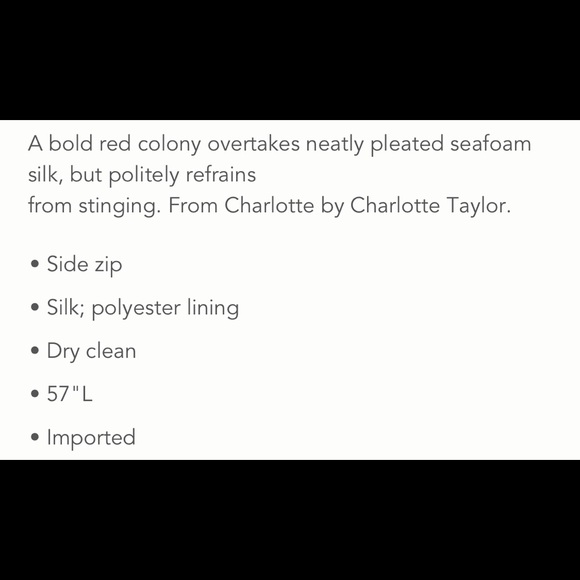 🦄 Anthropologie Fire Ants Maxi Dress, 6 - Picture 2 of 4